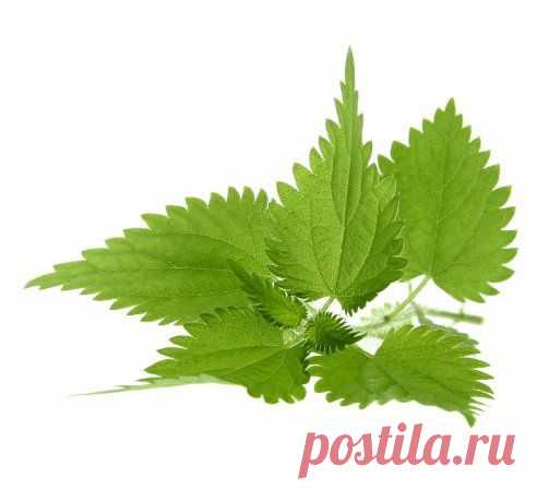 (45) Одноклассники