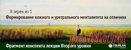 8 зерен из 1. Формирование кожного и уретрального менталитета на отличиях