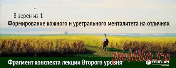 8 зерен из 1. Формирование кожного и уретрального менталитета на отличиях