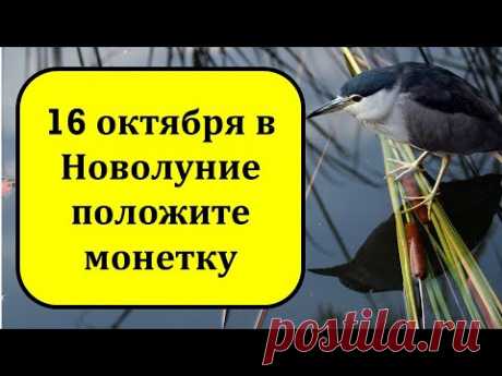 16 октября в Новолуние положите монетку под порог и скажите эти слова | Эзотерика для Тебя
