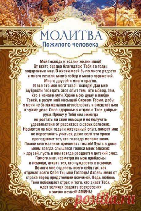(65) Одноклассники