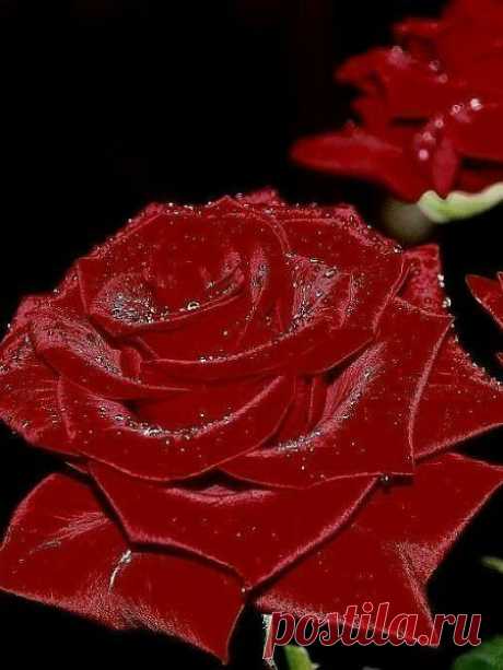 (1) Facebook