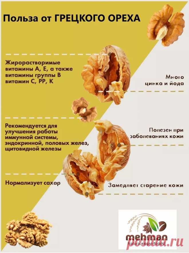 Польза от грецкого ореха