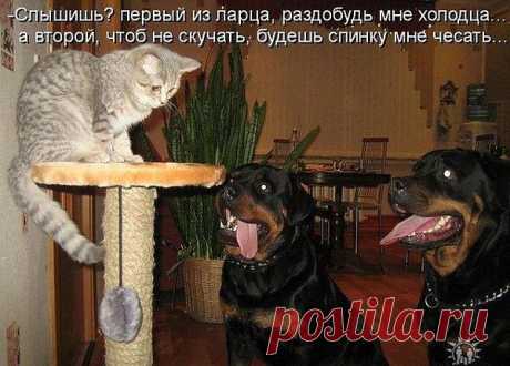 В Природе нет равенства, но это Ей - все равно.