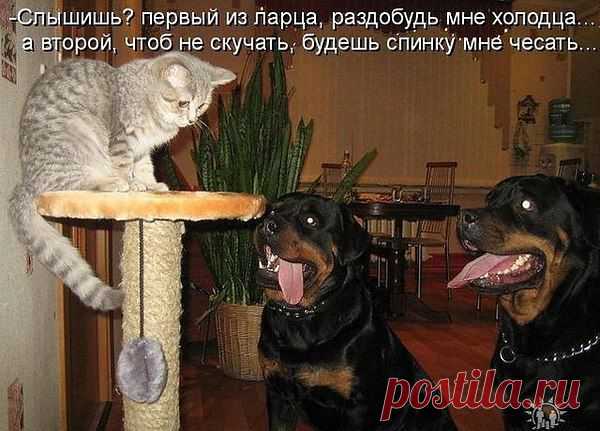 В Природе нет равенства, но это Ей - все равно.