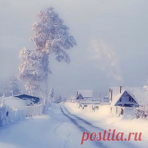 (52) Одноклассники