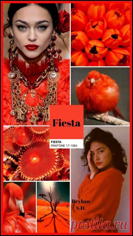 - Цветотерапия при астигматизме
- Цветотерапия при амблиопии (слабовидение, ленивый глаз)
- Цветотерапия при астенопии
- Цветотерапия при пресбиопии
- Цветотерапия при синдроме сухого глаза (сухой кератоконъюнктивит)
- Цветотерапия при патологии зрительного нерва и сетчатки