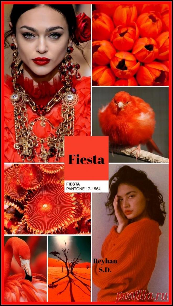 - Цветотерапия при астигматизме
- Цветотерапия при амблиопии (слабовидение, ленивый глаз)
- Цветотерапия при астенопии
- Цветотерапия при пресбиопии
- Цветотерапия при синдроме сухого глаза (сухой кератоконъюнктивит)
- Цветотерапия при патологии зрительного нерва и сетчатки