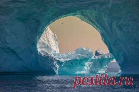 "Лучший фотограф природы - 2017" от National Geographic (Фото) - Последние новости экологии - Сенсационные снимки дикой природы и чудес погоды, подводные и аэрофотоснимки - все это фотографии, вышедшие в финал конкурса "Лучший фотограф природы 2017 - Новости Телеграф - Страница 16