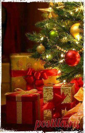 Фотографии на стене сообщества | 32 809 фотографий