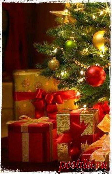 Фотографии на стене сообщества | 32 809 фотографий