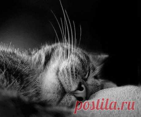 Pin page