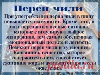 Зная полезные свойства специй, мы можем их использовать не только для того, чтобы придать блюду определенный вкус, но и чтобы поправить здоровье.