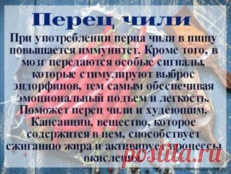 Зная полезные свойства специй, мы можем их использовать не только для того, чтобы придать блюду определенный вкус, но и чтобы поправить здоровье.