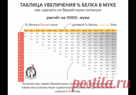 fs.webp (1000×698)