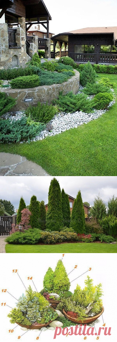 ЦВЕТОВОДСТВО, САДОВОДСТВО И ЛАНДШАФТНЫЙ ДИЗАЙН.