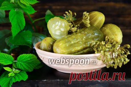 Квашеные огурцы с горчицей