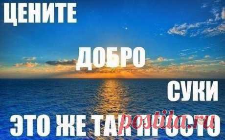 Смешные картинки