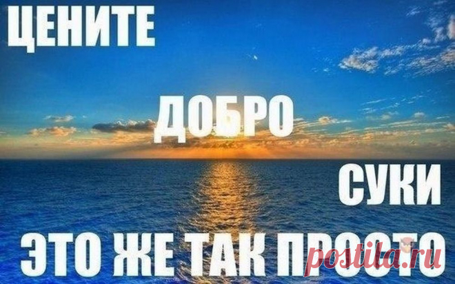 Смешные картинки