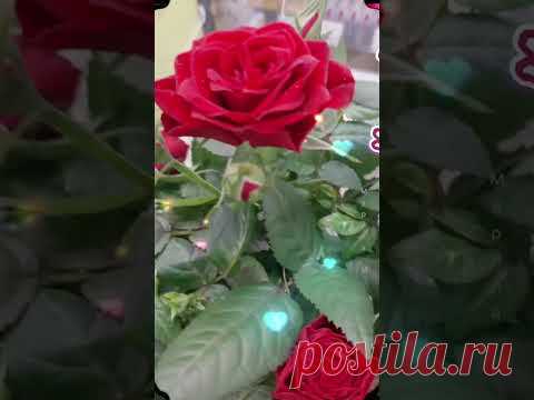 С понедельником друзья! - YouTube