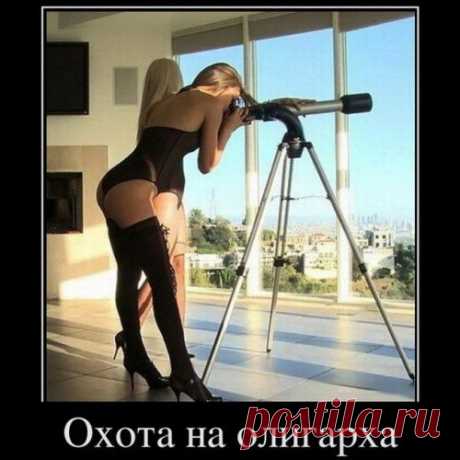 Дачный участок