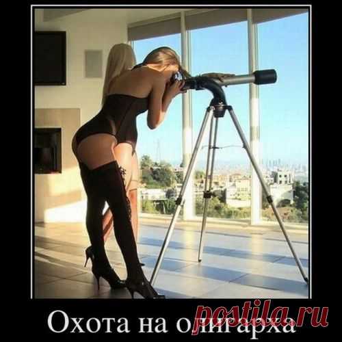 Дачный участок