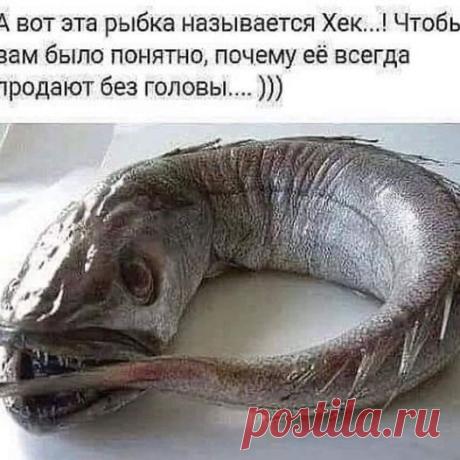(20+) Facebook