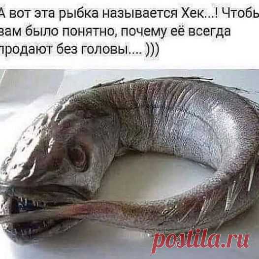 (20+) Facebook
