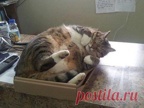 После праздников