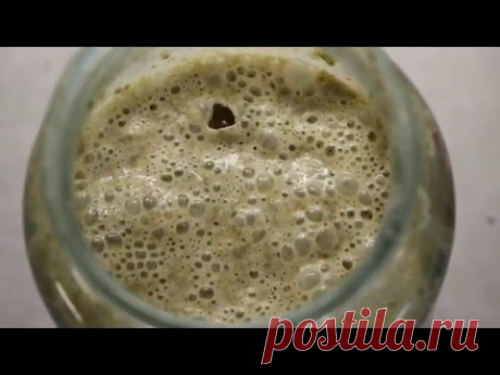 Инструкция по использованию сухой закваски  Кухня Ё Маззая