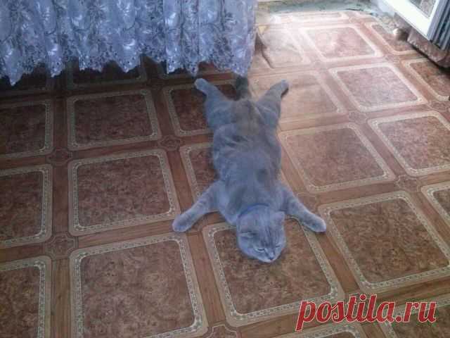 Вадим