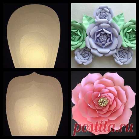 Just finished these beautiful templates for these fabulous style flowers for my client @noyola_grace3 😍 so excited to see her beautiful art !!!! FALL KICK OFF TEMPLATE SALE ENDS TONIGHT AT MIDNIGHT &quot; BUY 1 GET THE 2ND HALF OFF AND GET A FREE LEAF TEMPLATE &quot; email me at backdroptemplate@gmail.com #paperflower #paperflowers #paperflowerwall #paperart #backdropinaboxtemplates #backdropinabox #love #pretty #partydecor #events #diy
