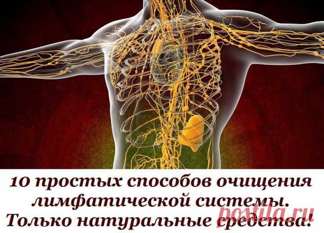 10 простых способов очищения лимфатической системы... 
Лимфу называют живой водой организма. Она циркулирует по лимфатическим каналам, омывая всё тело, осуществляя очищение клеток и выводя из организма все токсины и продукты распада жизнедеятельности вре…