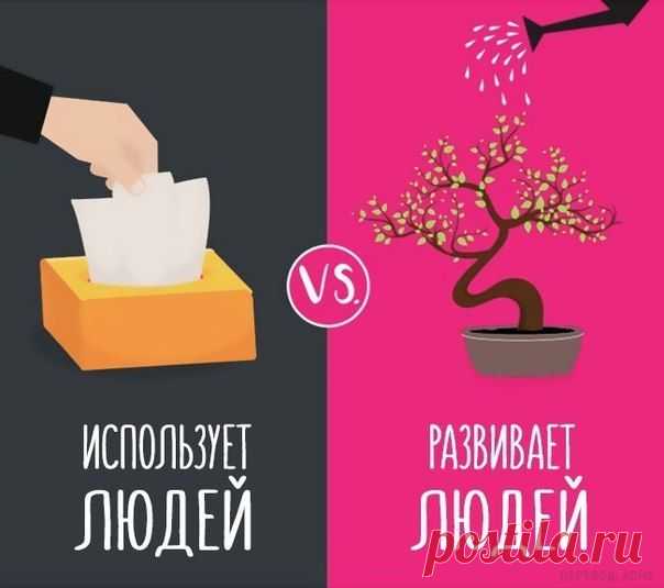 Чем отличается босс от лидера / Сферический бизнес