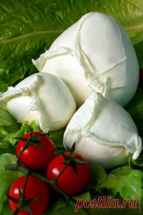 Домашняя моцарелла. Вкуснее магазинной, а готовится за полчаса! Приготовить настоящую моцареллу дома вполне реально, главное — найти и купить сычуг (сычужный фермент). Ингредиенты:  Порций: 4 1 1/2 ч.л. лимонной кислоты 120 мл холодной воды 1/4 ч.л. сычужного фермента 50 мл воды (нехлорированной, дистилированной) 4 л цельного молока (см. примечание ниже) Способ приготовления Молоко налить в глубокую кастрюлю. Добавить лимонную кислоту, перемешать аккуратно. Подогреть молок...