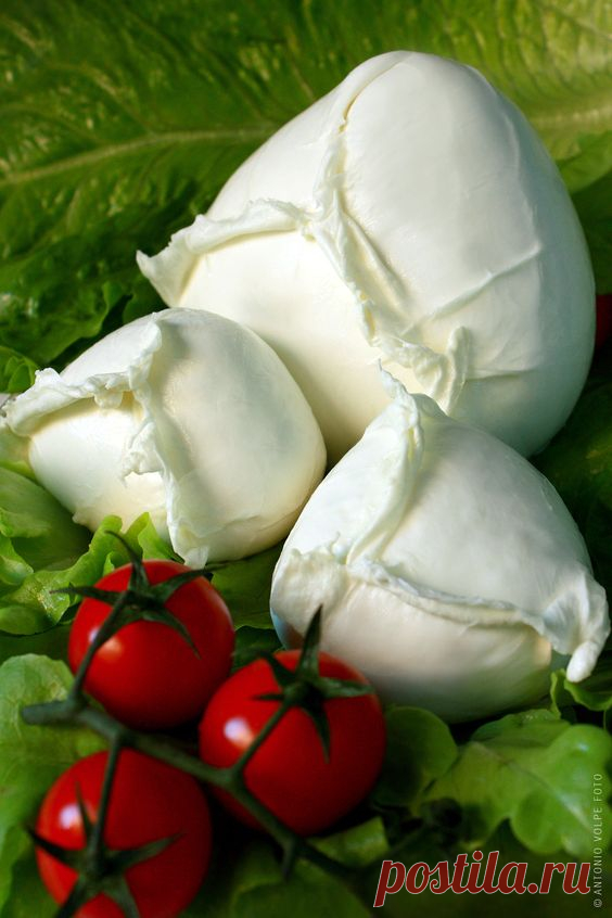 Домашняя моцарелла. Вкуснее магазинной, а готовится за полчаса! Приготовить настоящую моцареллу дома вполне реально, главное — найти и купить сычуг (сычужный фермент). Ингредиенты:  Порций: 4 1 1/2 ч.л. лимонной кислоты 120 мл холодной воды 1/4 ч.л. сычужного фермента 50 мл воды (нехлорированной, дистилированной) 4 л цельного молока (см. примечание ниже) Способ приготовления Молоко налить в глубокую кастрюлю. Добавить лимонную кислоту, перемешать аккуратно. Подогреть молок...