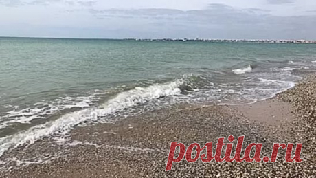 У моря