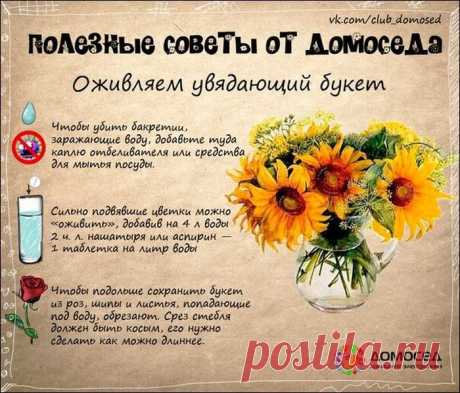 19 советов по домашнему хозяйству