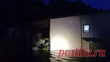 В Ленобласти бобры устроили потоп в двух поселках. В Ленобласти бобры устроили потоп в двух поселках, затопив около полусотни садоводческих участков. Об этом сообщает Комитет правопорядка и безопасности Ленинградской области. СНТ "Красногорские покосы" и "Южное" ...