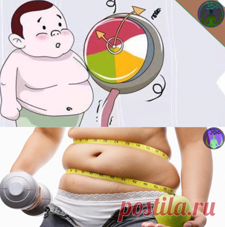 Как я набирал вес, а потом сбрасывал. Делюсь личным опытом | ЗОЖ путь изнутри вовне | Яндекс Дзен