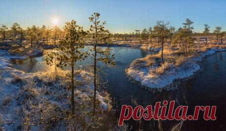 «Белое солнце, голубые зеркала». Север Ленинградской области. Автор фото – Федор Лашков: nat-geo.ru/photo/user/27510/