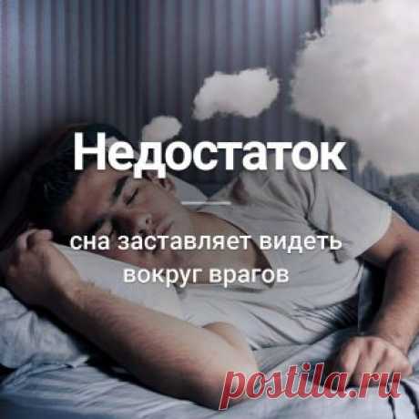 Интересные факты и истории - Фото