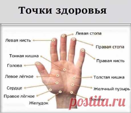 МАССИРУЯ ПАЛЕЦ ПО 1 МИНУТЕ В ДЕНЬ, ПОРАЗИШЬСЯ ТОМУ, ЧТО СЛУЧИТСЯ С ТВОИМ ТЕЛОМ
Точки на большом пальце отвечают за сердце и легкие. Учащенное сердцебиение можно постепенно исправить с помощью массажа этого пальца.
Указательный палец
Отвечает за работу ЖКТ. Боли в животе, трудности при пищеварении можно легко преодолеть, массируя указательный палец.
Показать полностью...