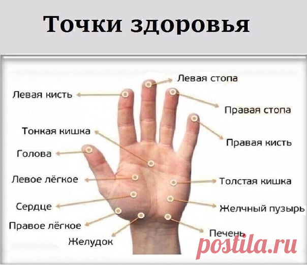 МАССИРУЯ ПАЛЕЦ ПО 1 МИНУТЕ В ДЕНЬ, ПОРАЗИШЬСЯ ТОМУ, ЧТО СЛУЧИТСЯ С ТВОИМ ТЕЛОМ
Точки на большом пальце отвечают за сердце и легкие. Учащенное сердцебиение можно постепенно исправить с помощью массажа этого пальца.
Указательный палец
Отвечает за работу ЖКТ. Боли в животе, трудности при пищеварении можно легко преодолеть, массируя указательный палец.
Показать полностью...
