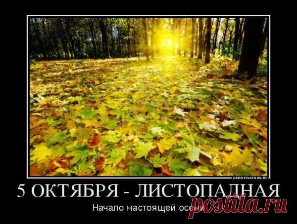 Дай Бог, чтобы Ваш небесный покровитель всегда споспешествовал во всех добрых начинаниях, а наипаче же молитвенно ходатайствовал бы за Вас у Престола Пресвятой Троицы. Открытки на День Ионы и Фоки.