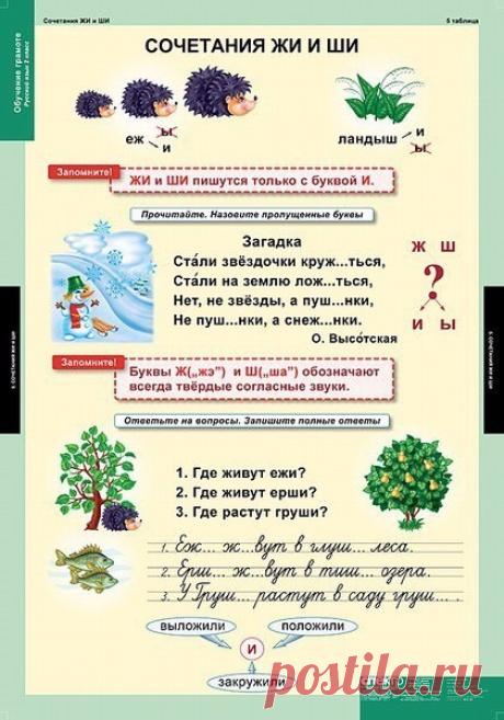 Русский язык в таблицах