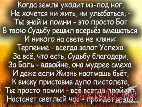 (1) Одноклассники