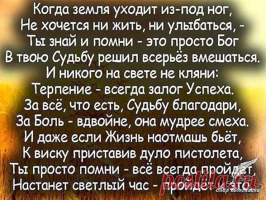 (1) Одноклассники