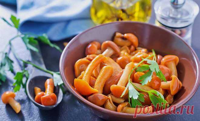 Маринованные опята на зиму: 6 простых рецептов маринованных опят