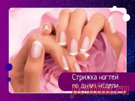 НОГТИ – они являются регулятором приема энергии. Около ногтей всегда находится масса жизненно важных точек, которые соединены со всеми внутренними органами тела. Ногти являются регулятором приема энергии, то их стрижка меняет ритм жизни: